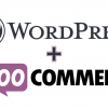 WordPress & WooCommerce Site Kurulumu ve Ayarları (Eğitim Dahil)